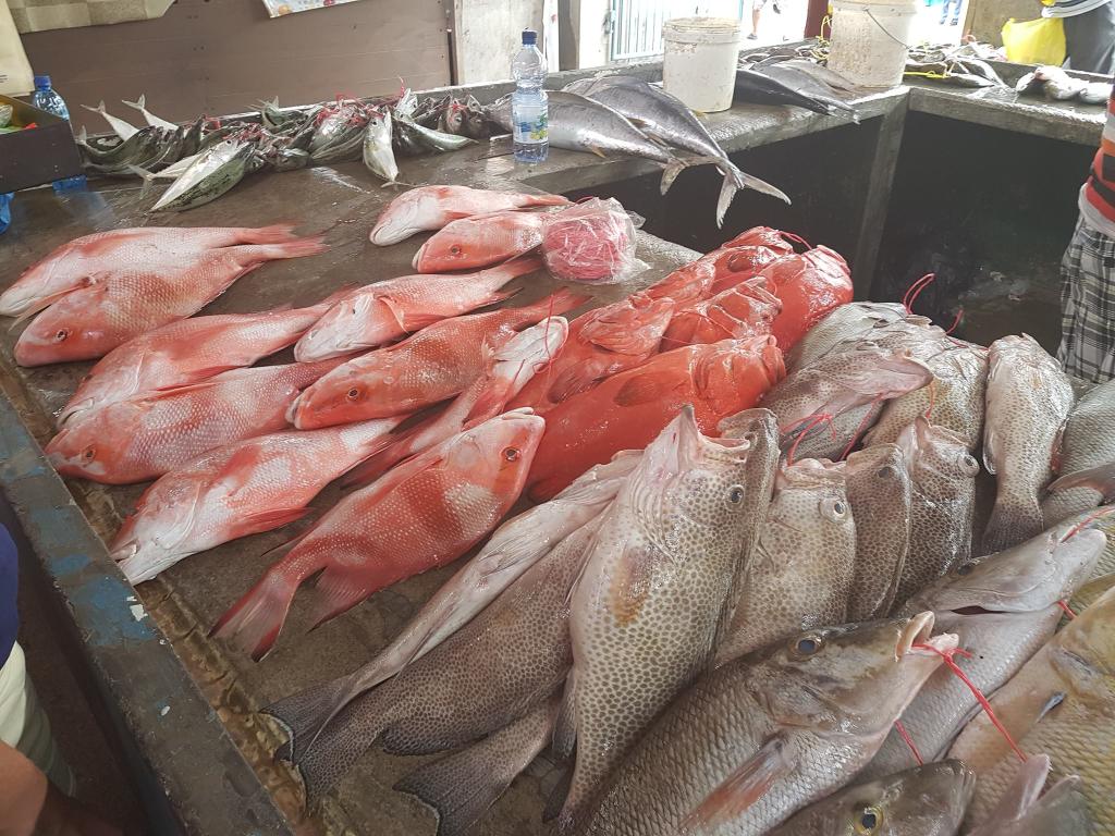 Fischstand auf dem Selwyn Selwyn Clarke Market in Victoria