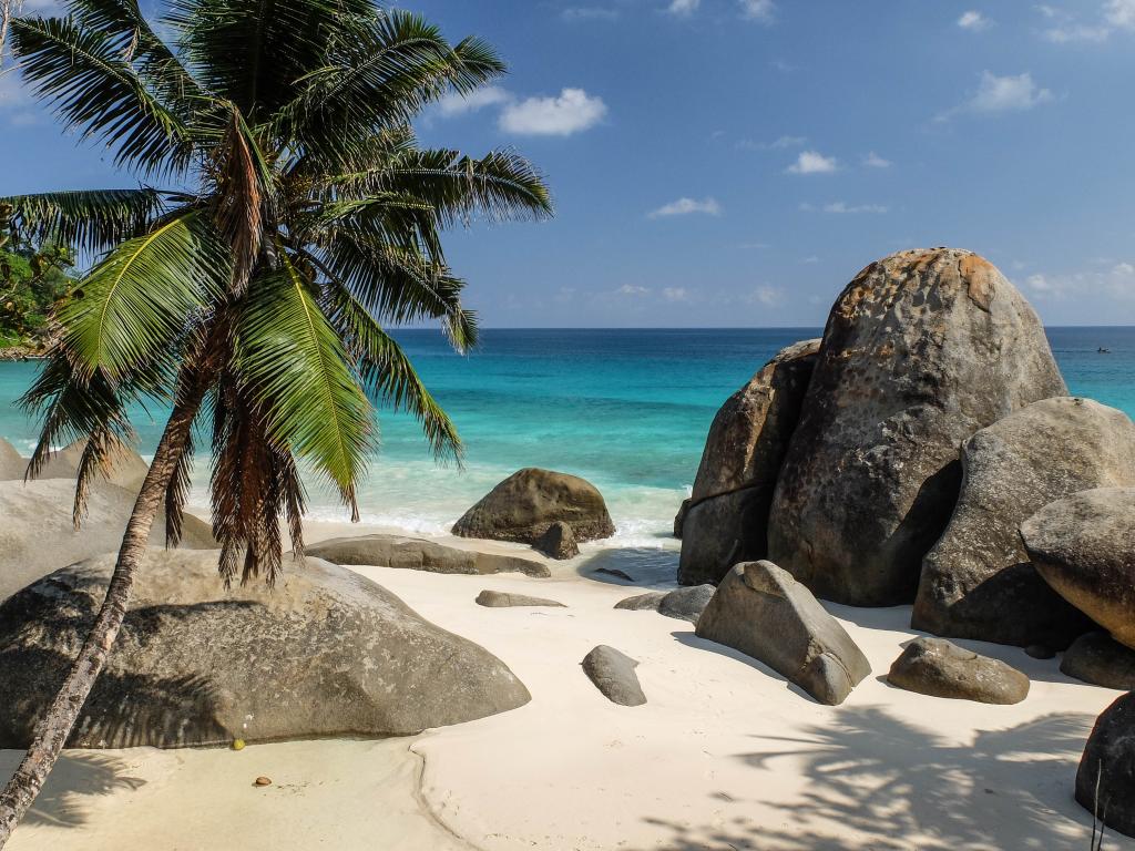 <beach>37|Anse Machabeé</beach>, Mahé