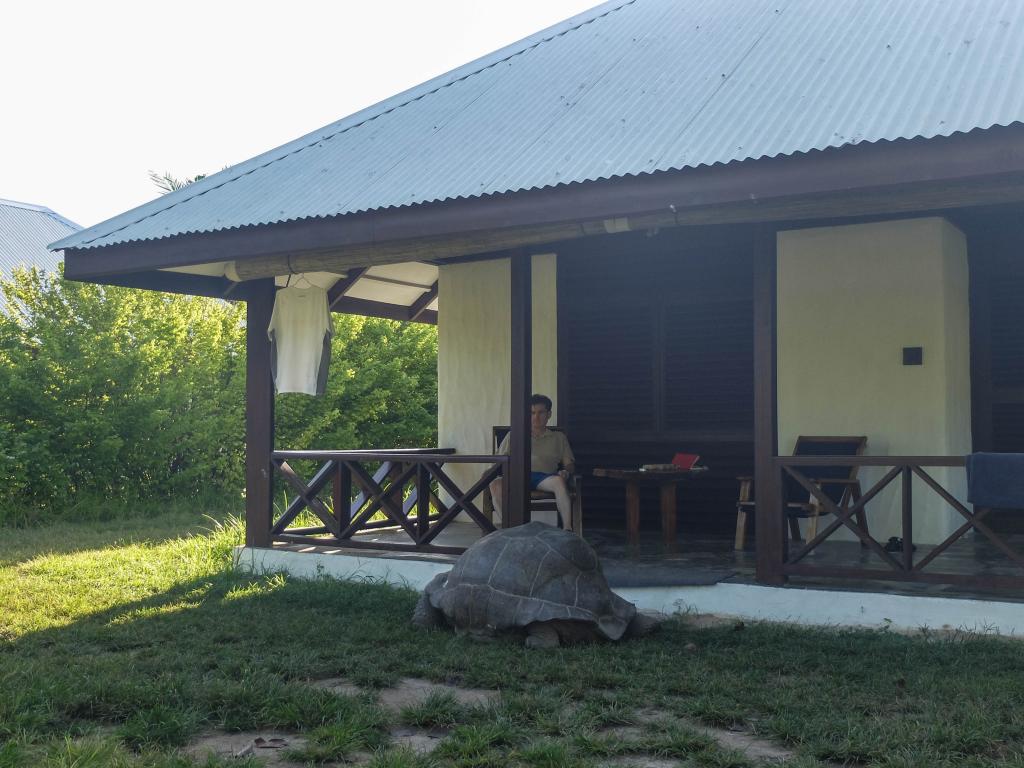 Unser Haustier auf Bird Island