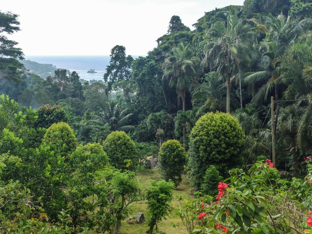 Jardin du Roi, Mahé