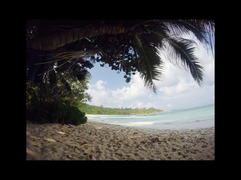 Anse Cocos