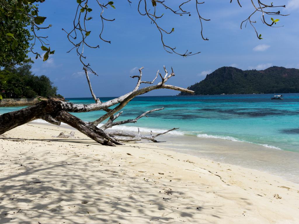 Anse Boudin, Praslin