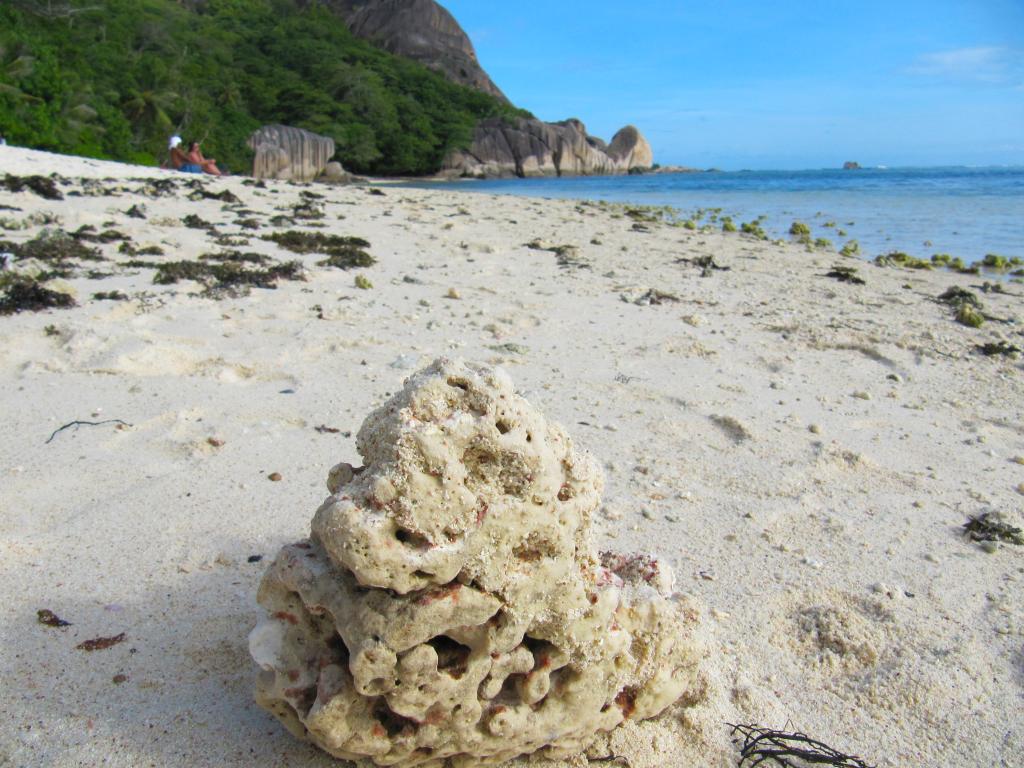 <beach>15|Anse Source d'Argent</beach>, La Digue