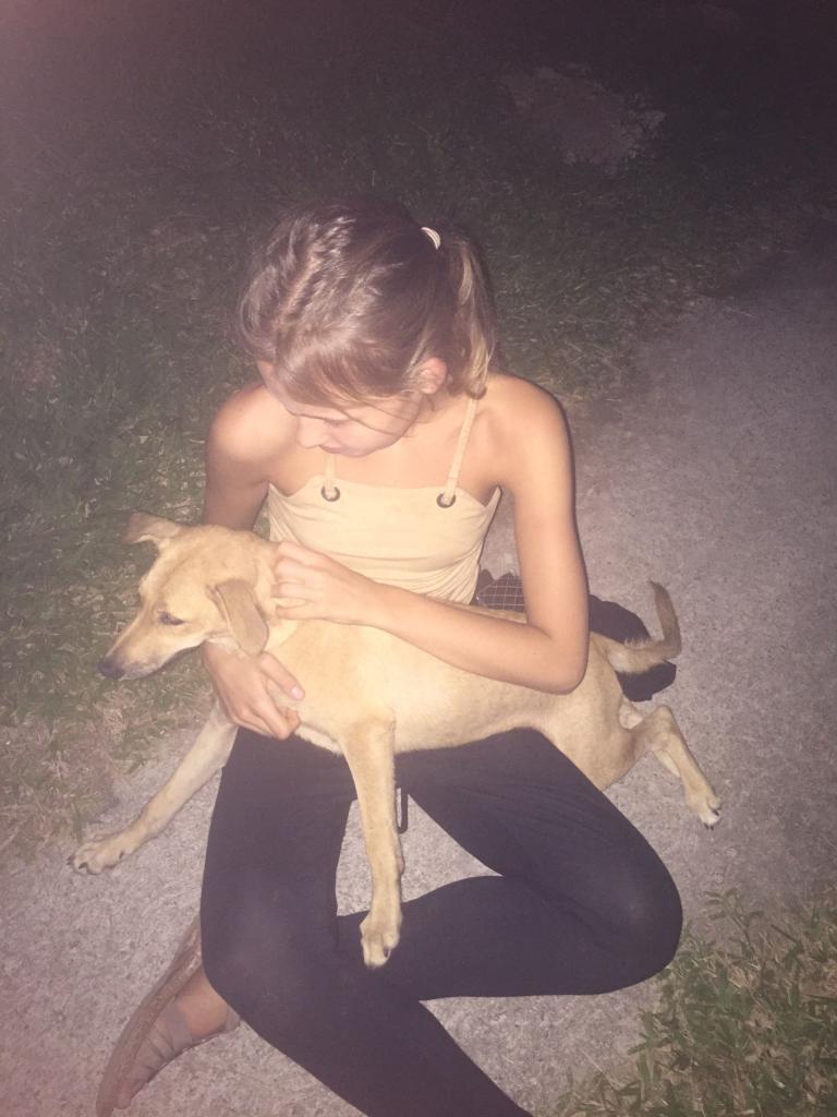 Stroking a dog on La Digue