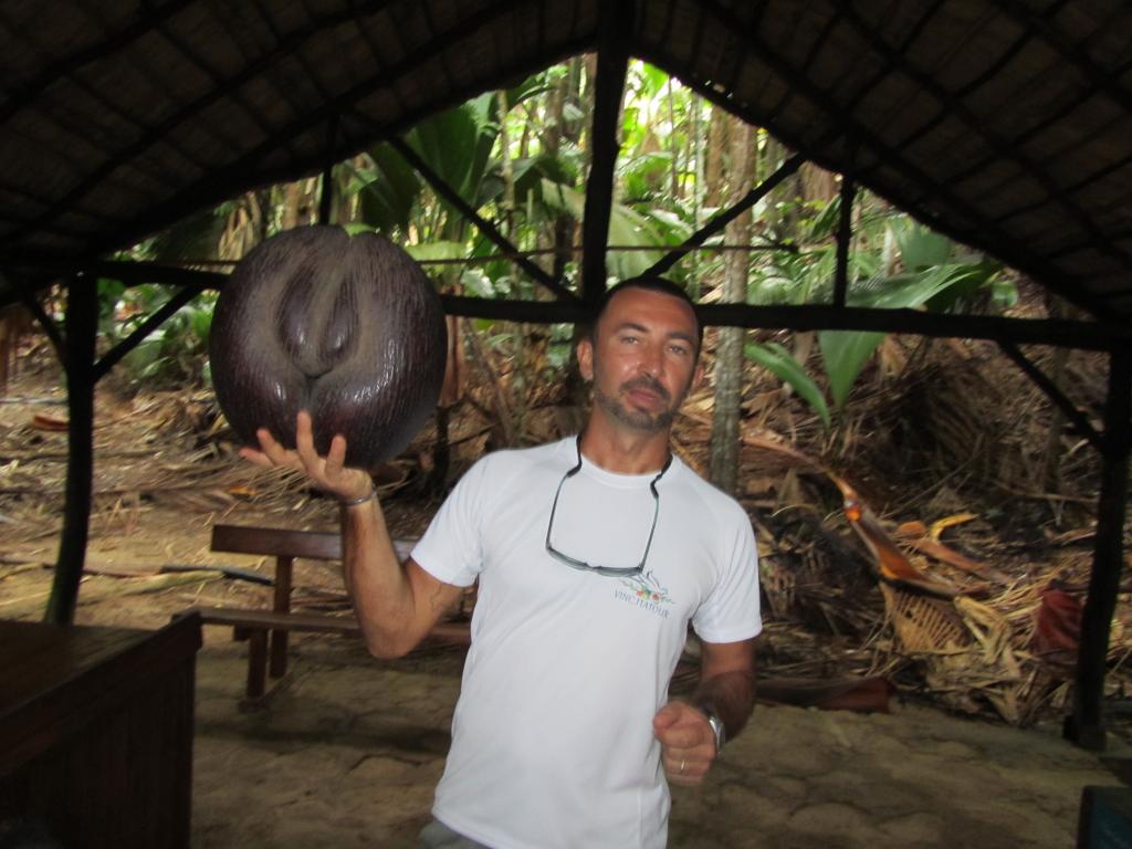 Praslin: Vallée de Mai Vincenzo Guida Turistica