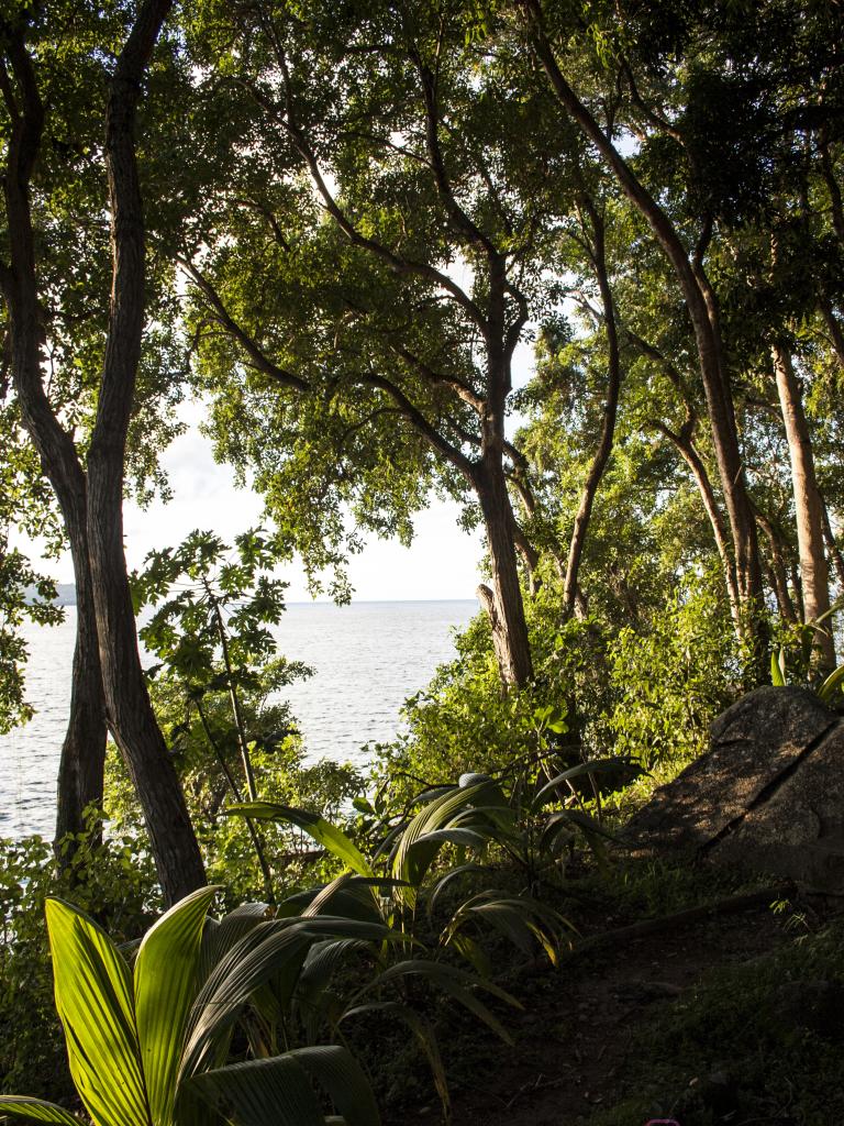 Wald rund um unsere Villa im Cerf Island Resort