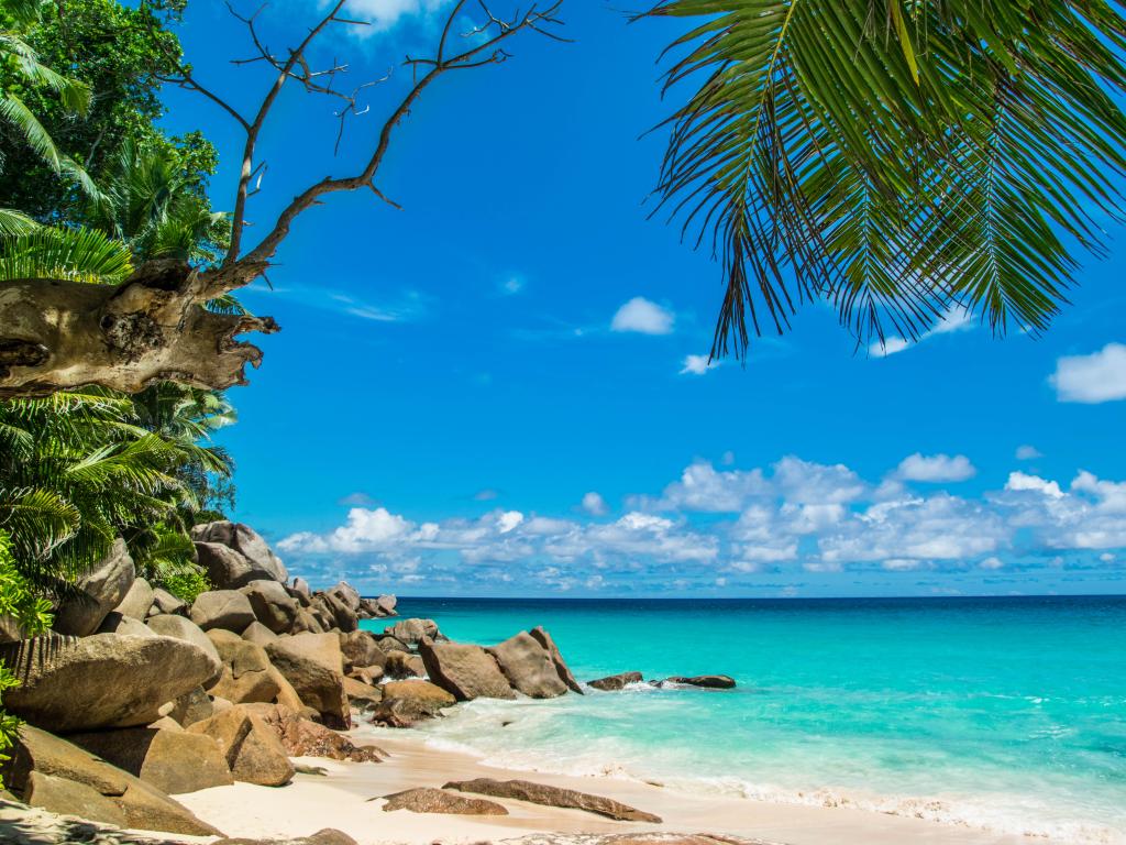 Anse Georgette - Praslin