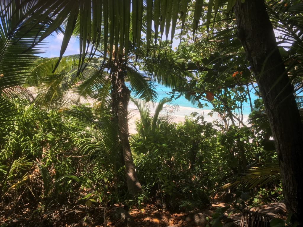 Petite Anse, La Digue