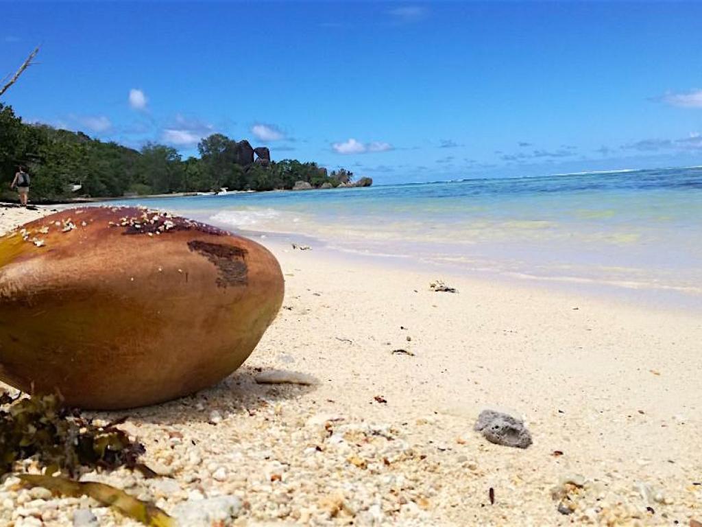 Anse Source d'Argent, La Digue