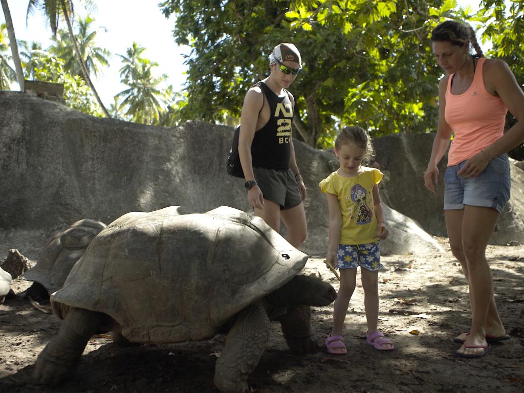 Tartaruga Gigante a La Digue