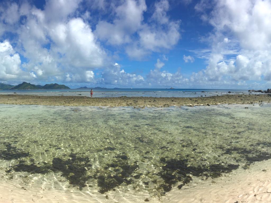 Escursione a Felicité Island