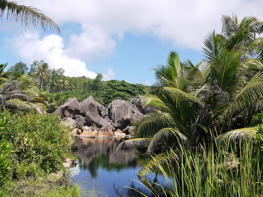 Verso la Petite Anse