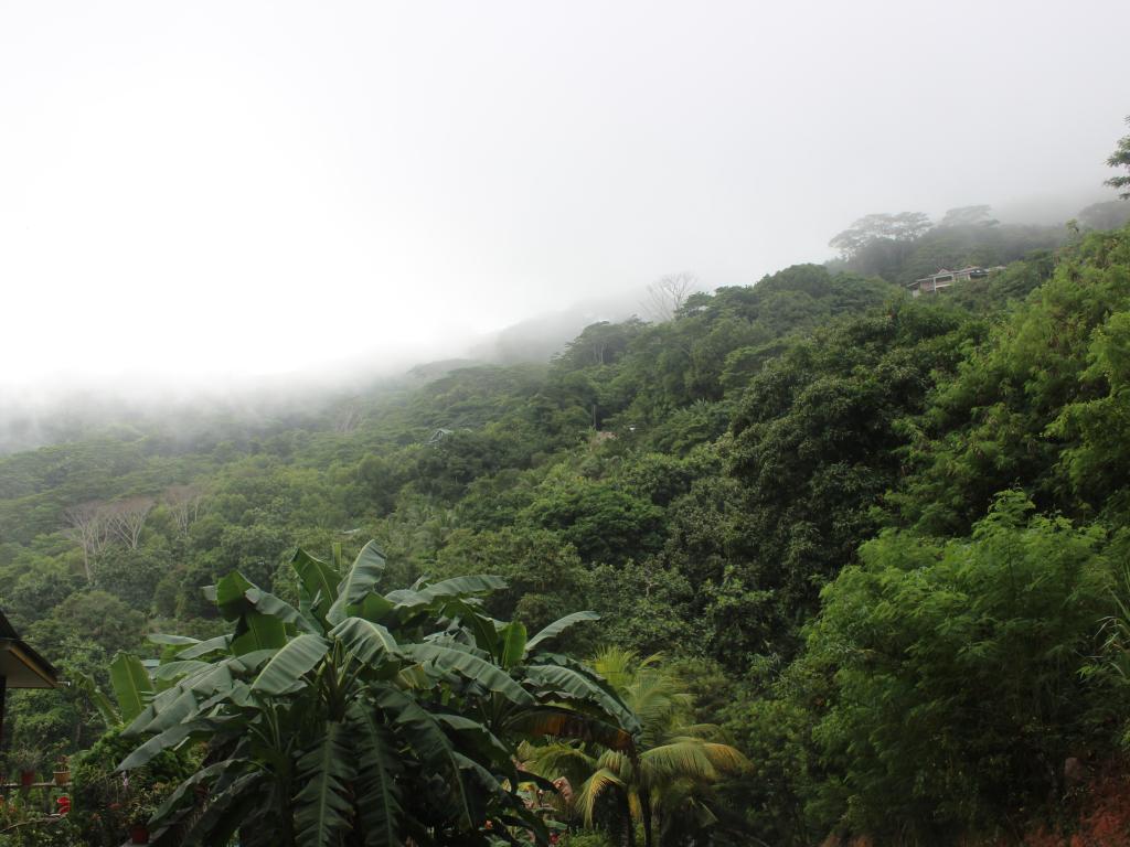 Wanderung Belle Vue, La Digue