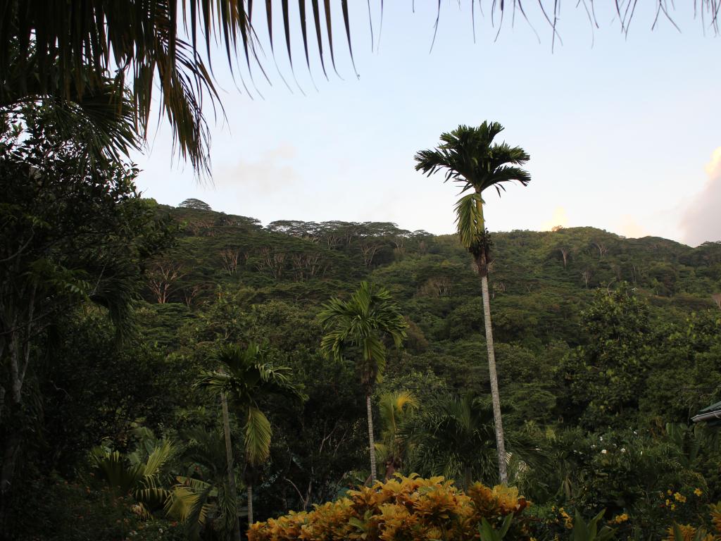 Ausblick vom Guesthouse