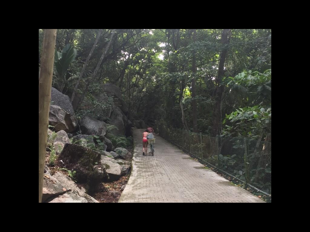 La Dgue, Radweg zum Grand Anse