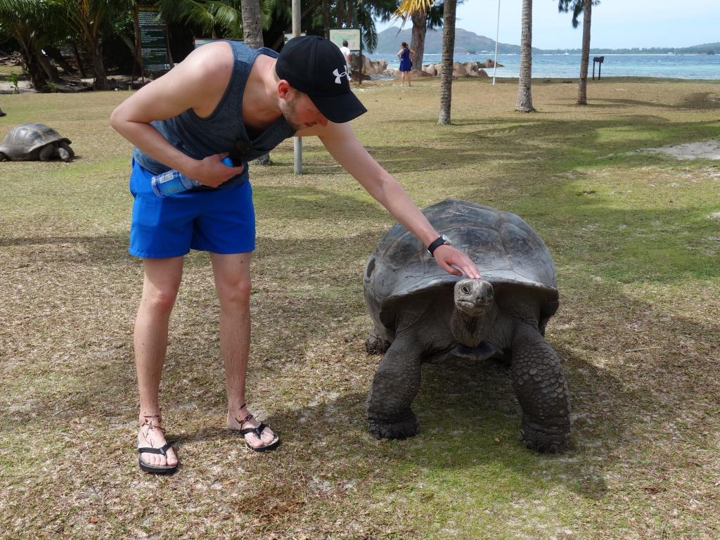 Curieuse mit Riesenschildkröten