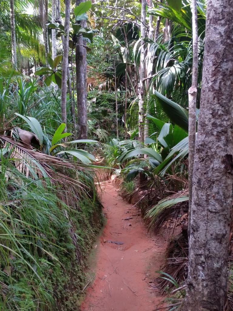 Vallée de Mai, Praslin