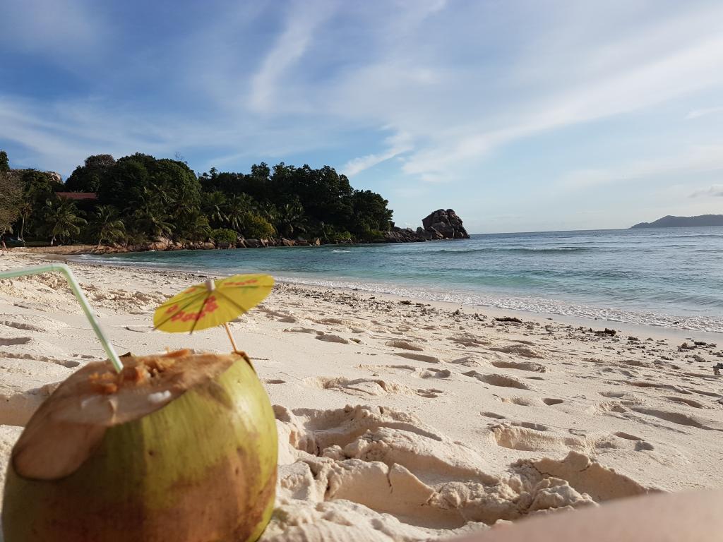 La Digue, Frische Kokosnuss am Anse Severe