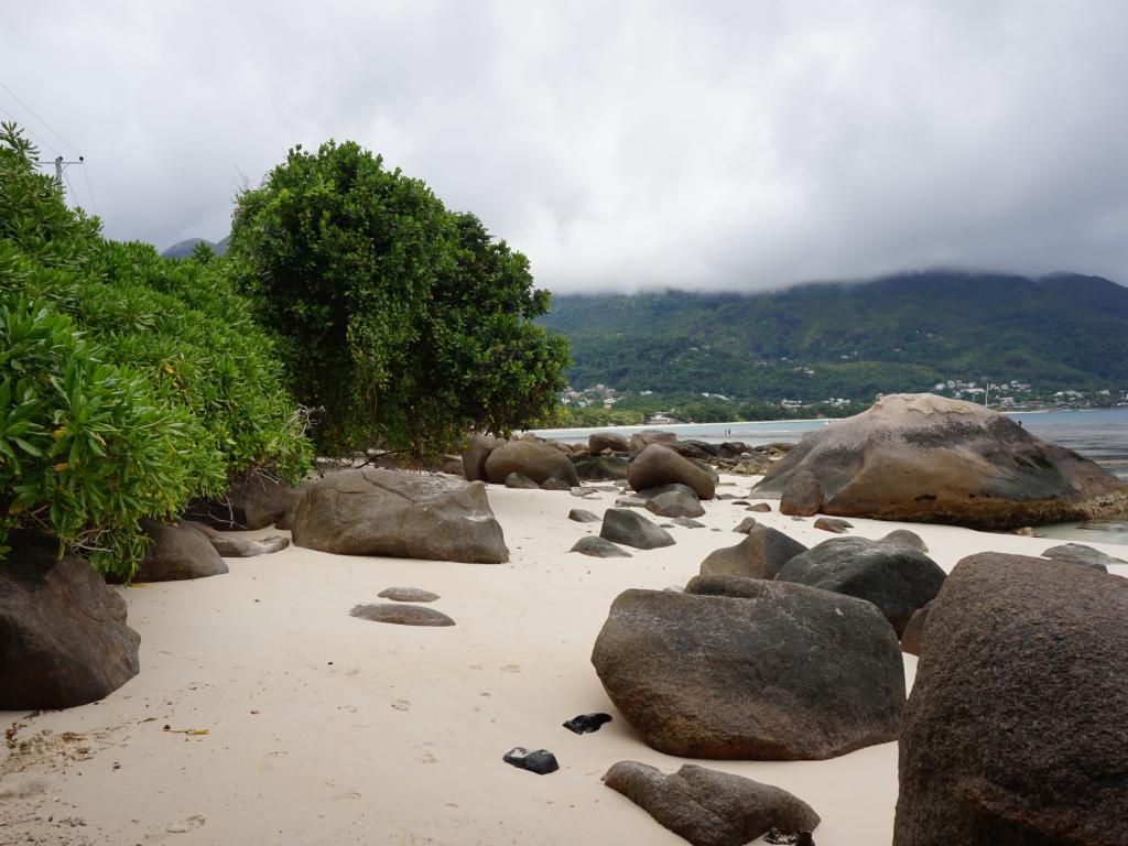 Mahé, Beau Vallon bei Ebbe