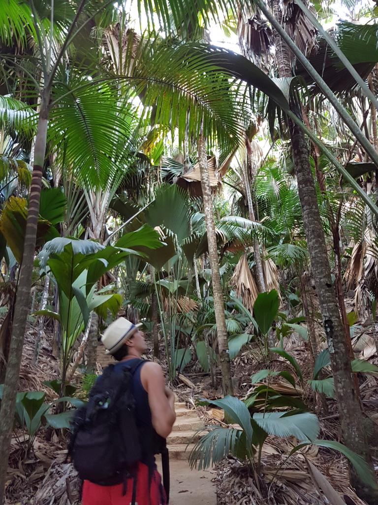 Praslin, Vallée de Mai