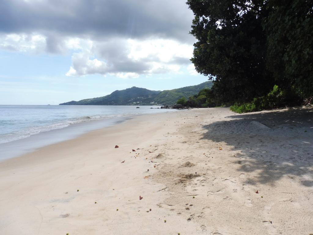 Anse Marie Laure