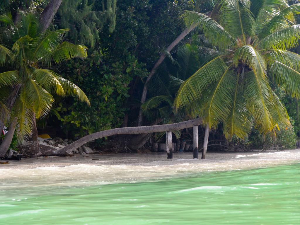 Cote d'Or, Praslin