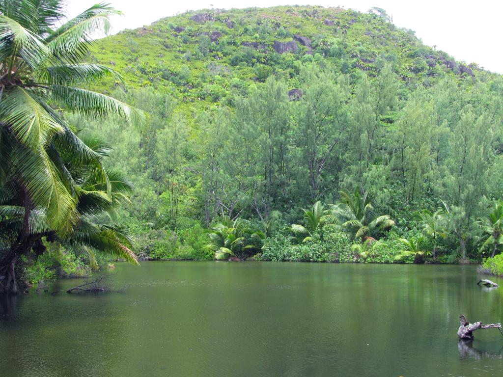 Anse Lazio, Praslin