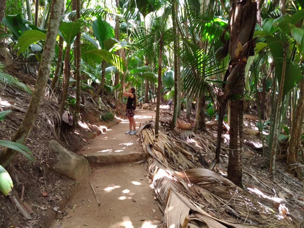 Vallée de Mai, Praslin