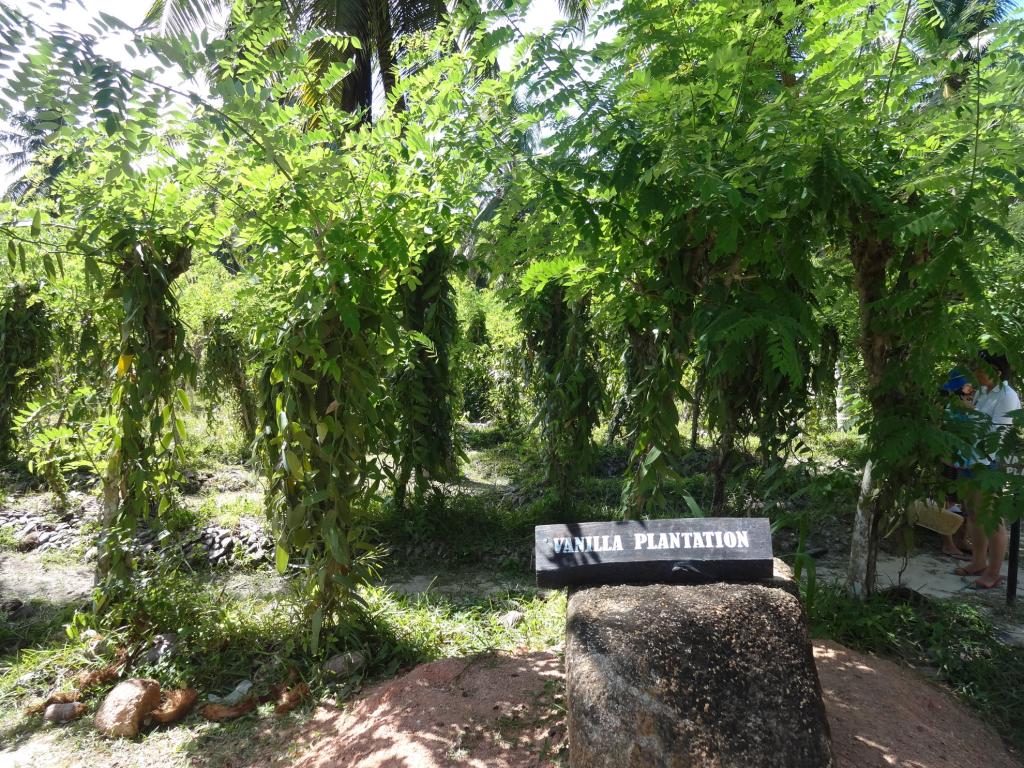 La Digue, L'Union Estate: Vanille Plantage