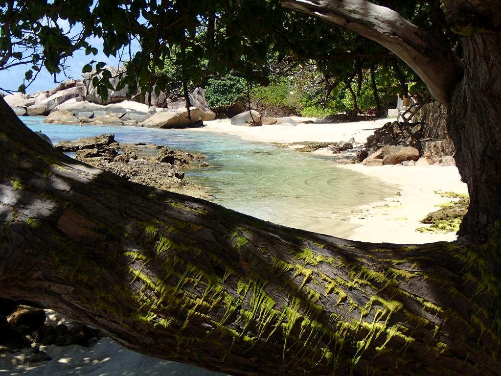 Anse Consolation, Praslin