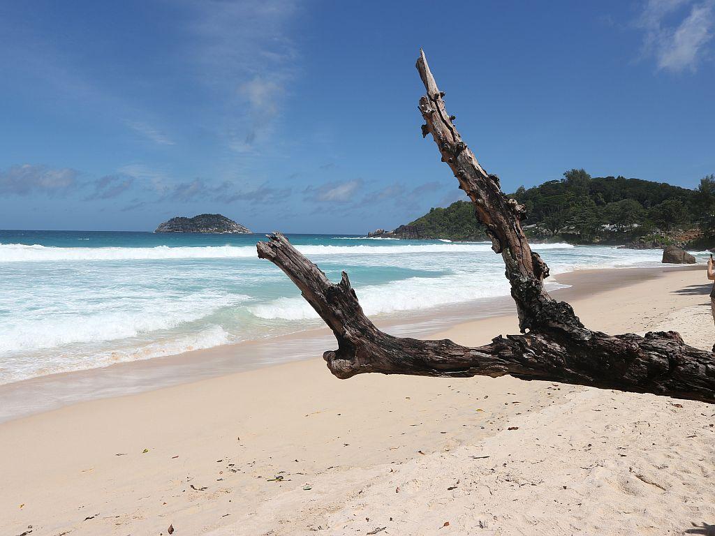 <beach>17|Grand Anse</beach>, Mahé