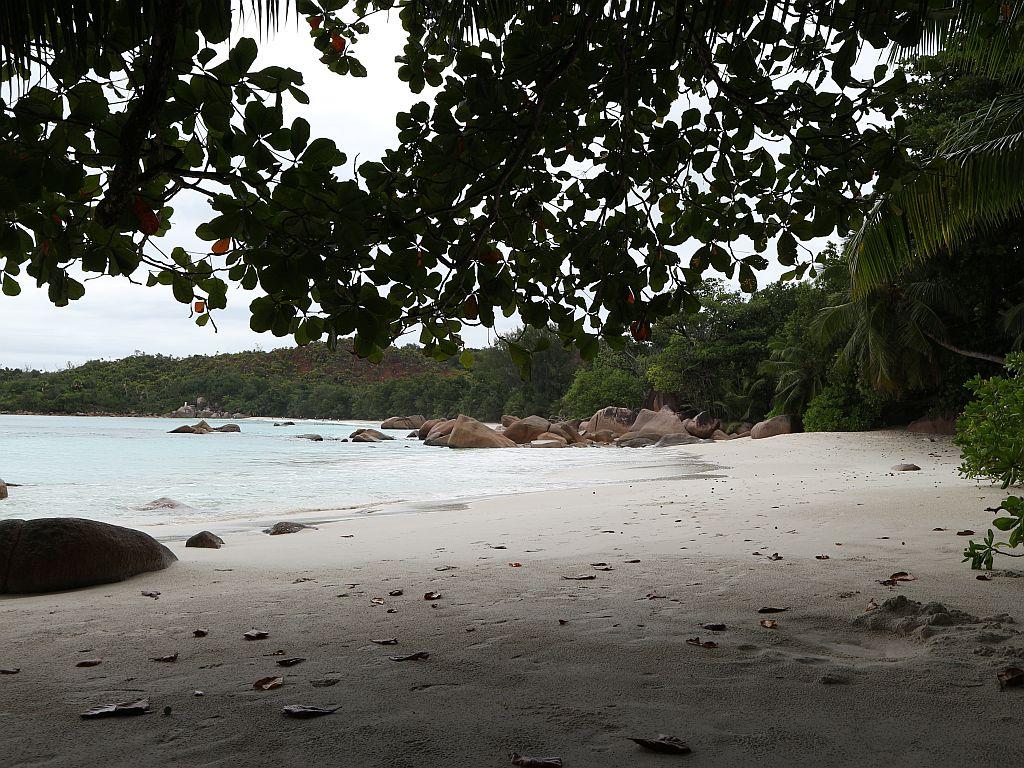 <beach>75|Anse Lazio</beach>, Praslin