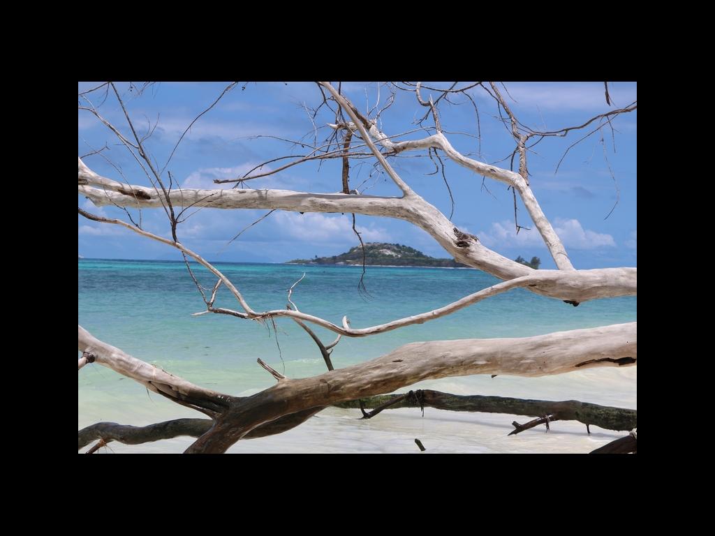 Grand Anse auf Praslin