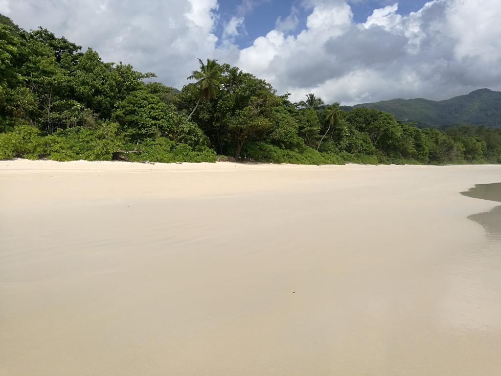 La splendida spiaggia di Anse Boileau sulla costa est di Mahé