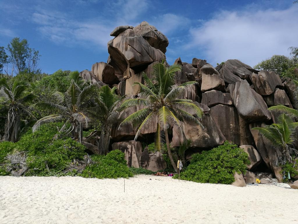 La spiaggia di Grand Anse a La Digue è una delle più belle del mondo