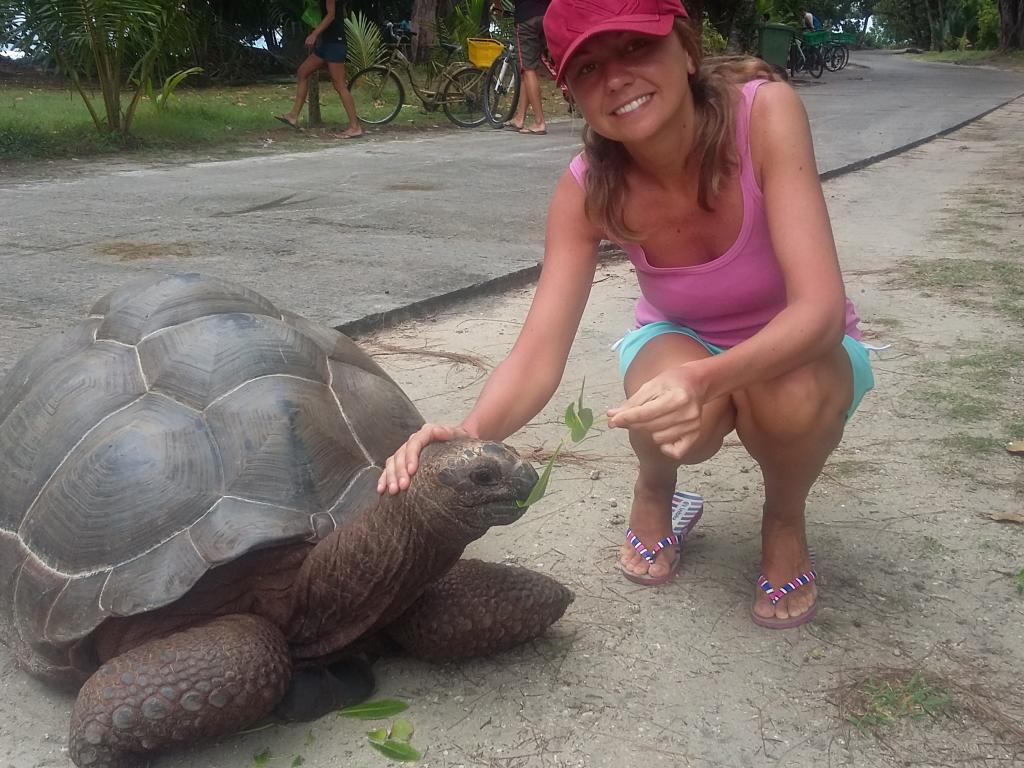 Tartaruga gigante a La Digue