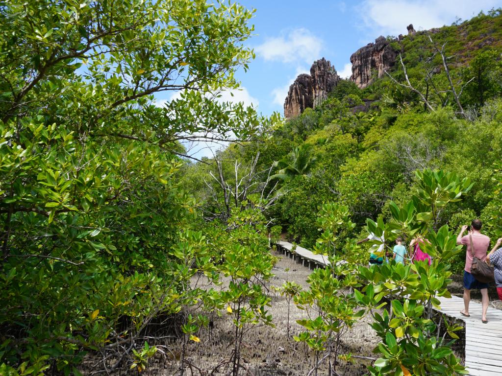 Mangrovenpark auf Curieuse