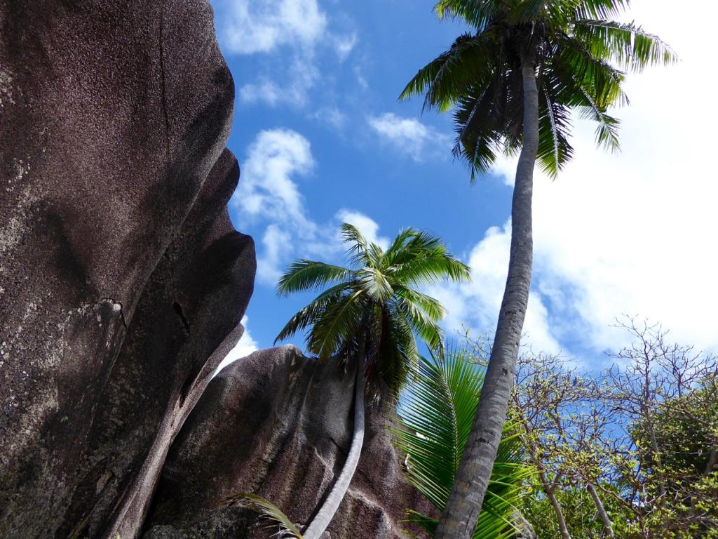 Anse Source D’Argent