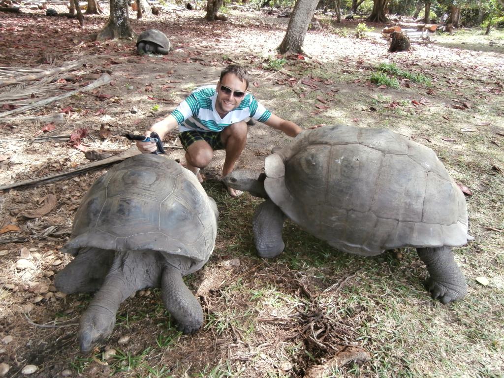 Schildkröten auf Curieuse