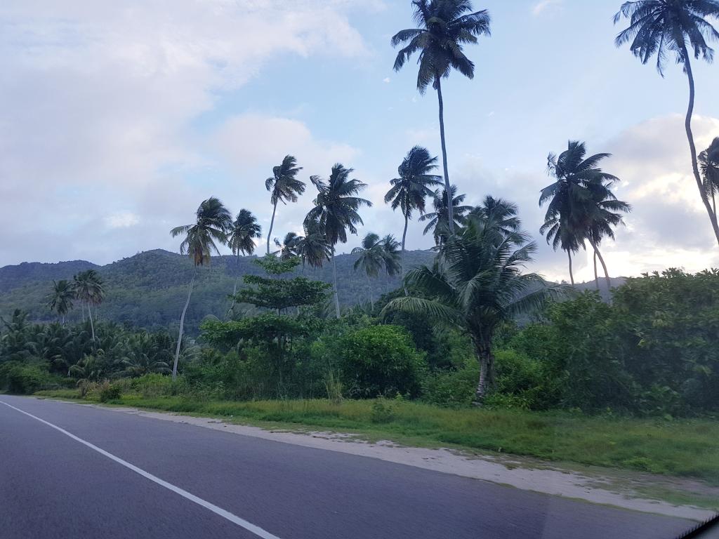 Mal eine andere Aussicht beim Autofahren