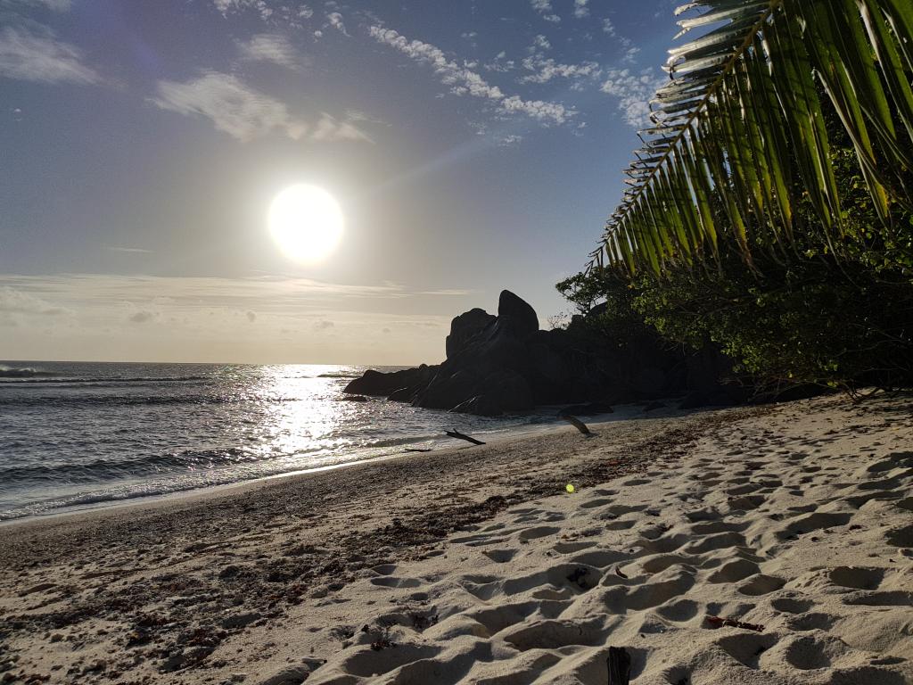 Sonnenuntergang am <beach>71|Anse Kerlan</beach>