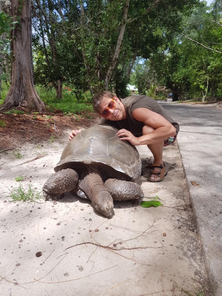 Die größte Schildkröte, die wir gesehen haben