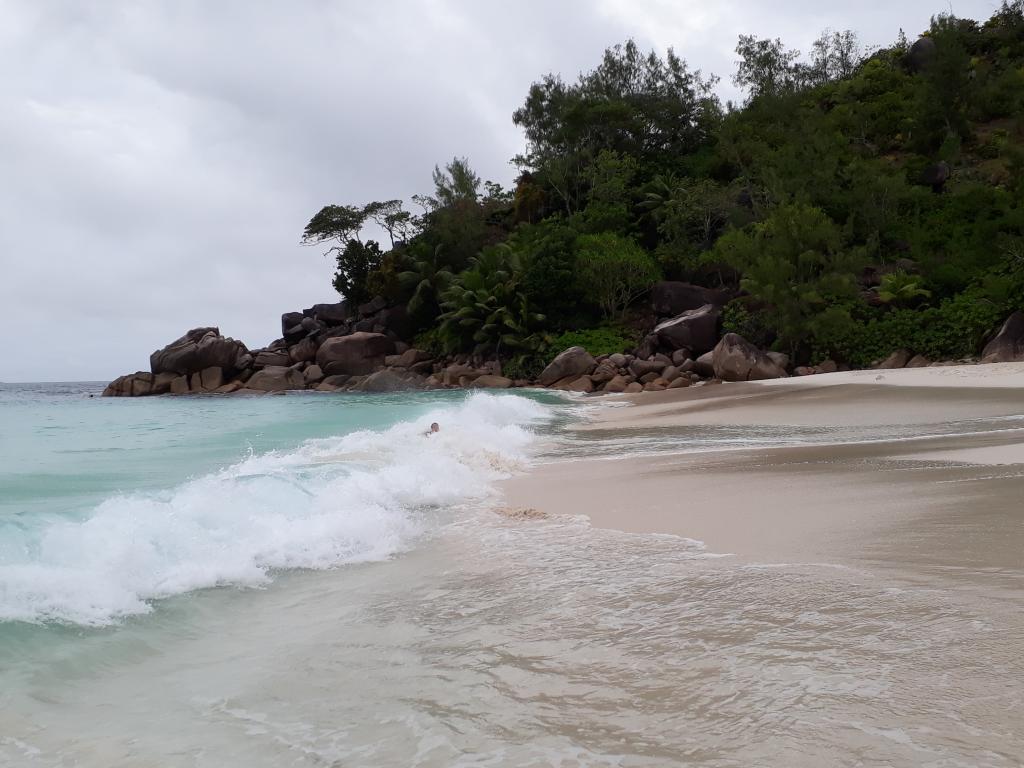 <beach>69|Anse Georgette</beach>, Praslin