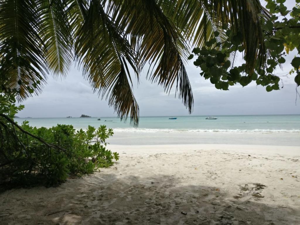 <beach>83|Anse Volbert (Cote d'Or)</beach>