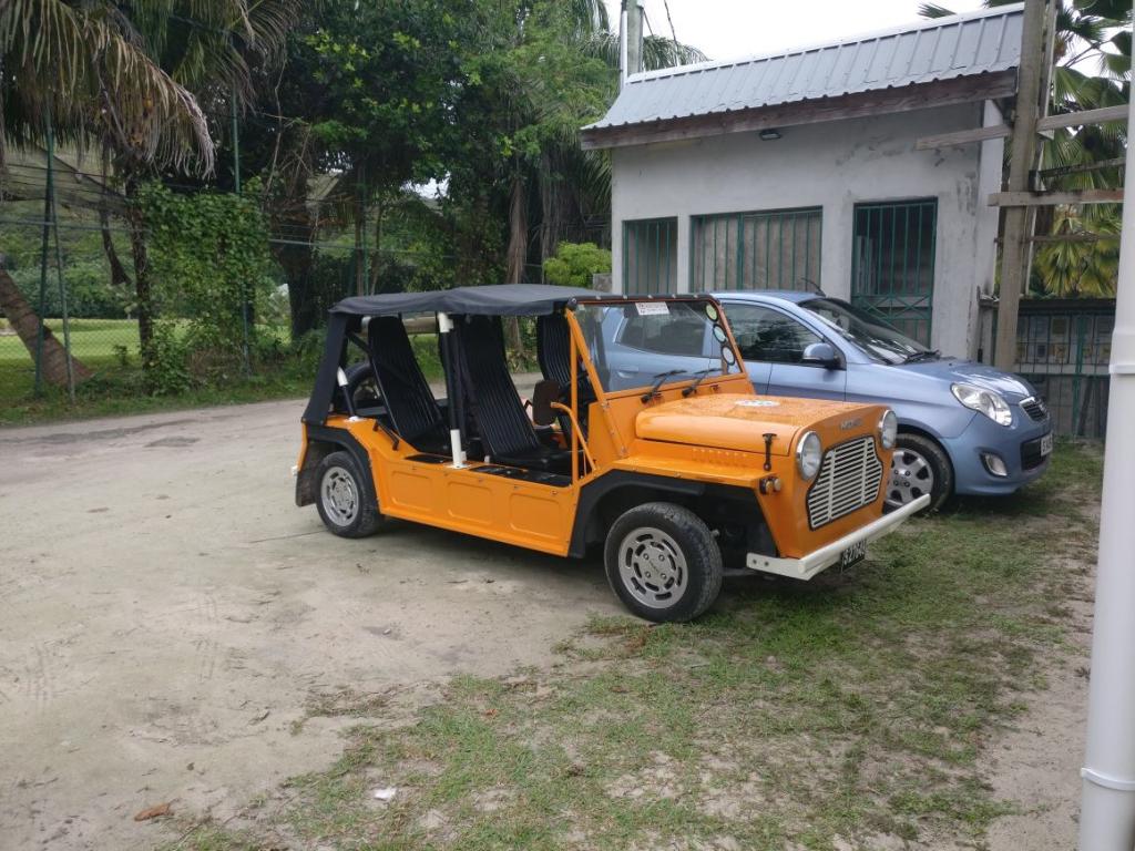 Mini Moke