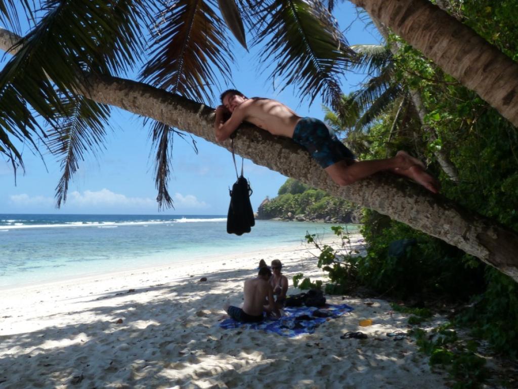 <beach>25|Anse Bougainville</beach>