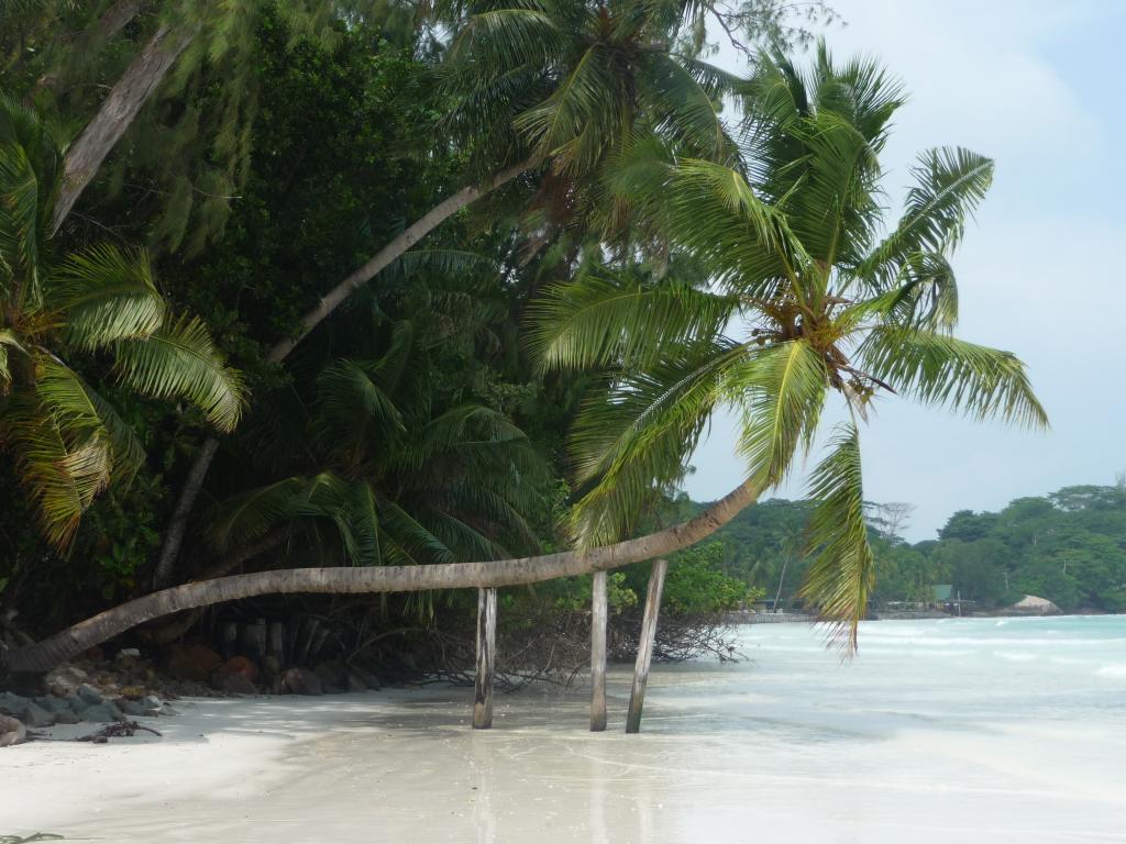 Anse Volbert (Côte d'Or), Praslin