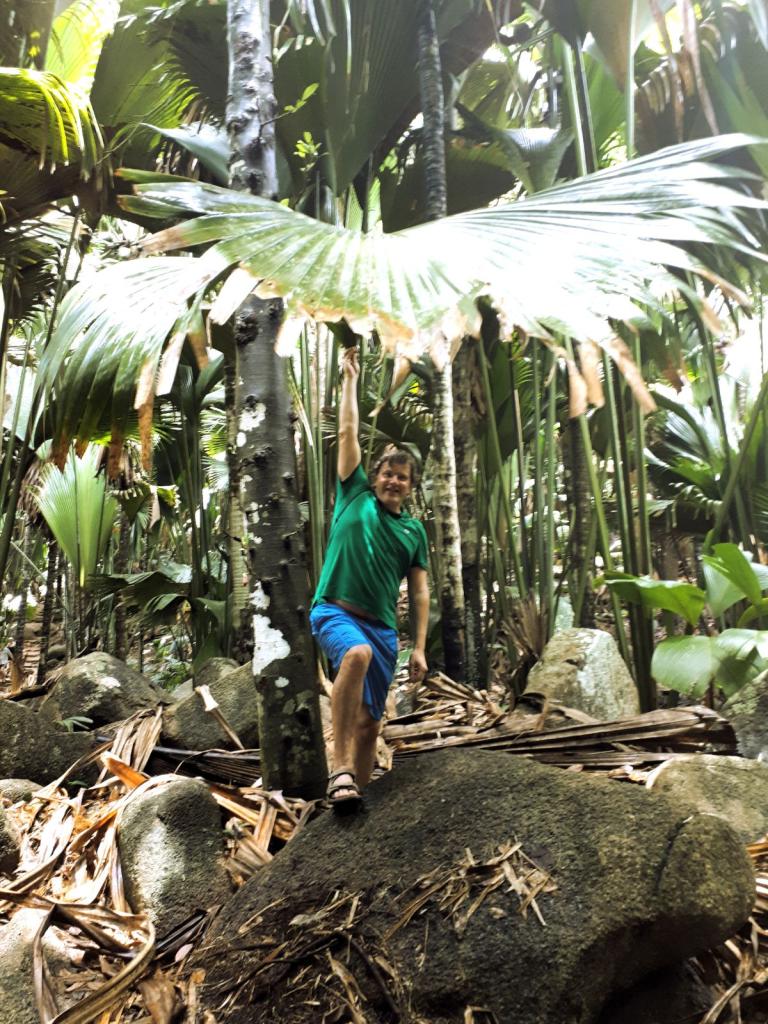 Vallée de Mai, Praslin