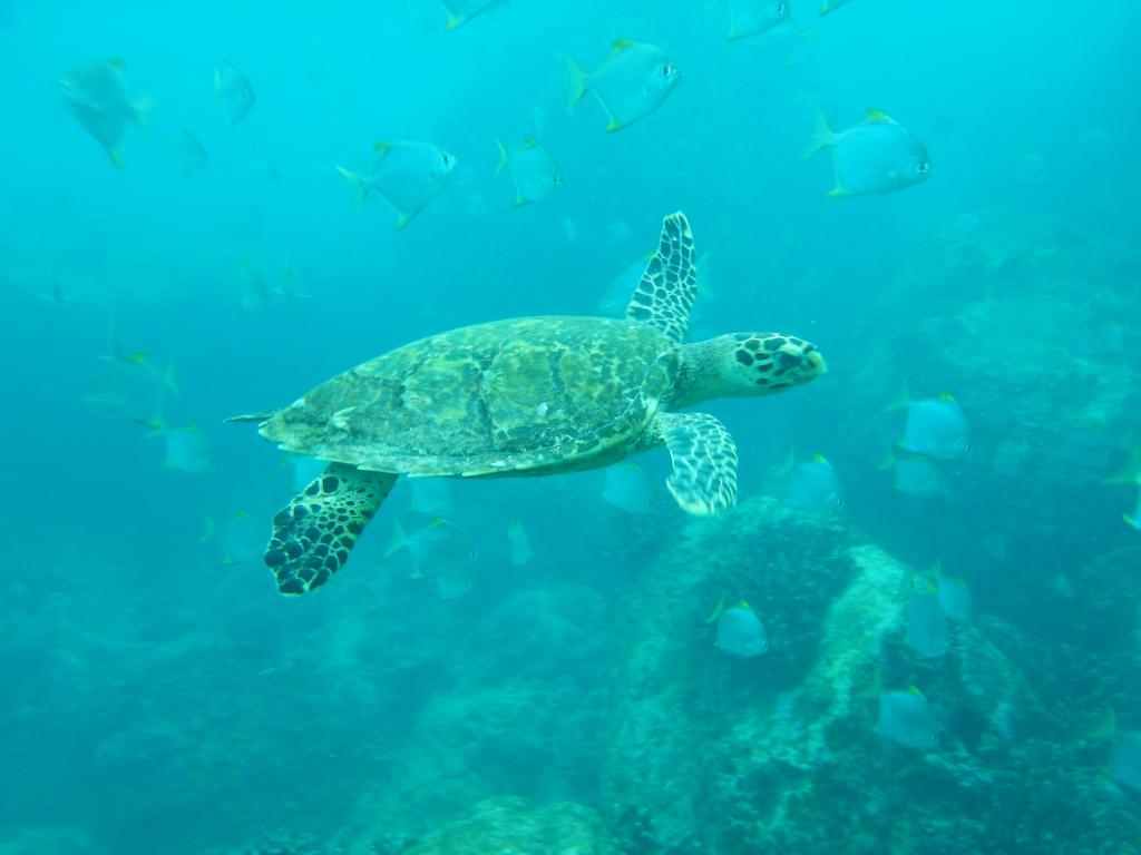 Anse Takamaka