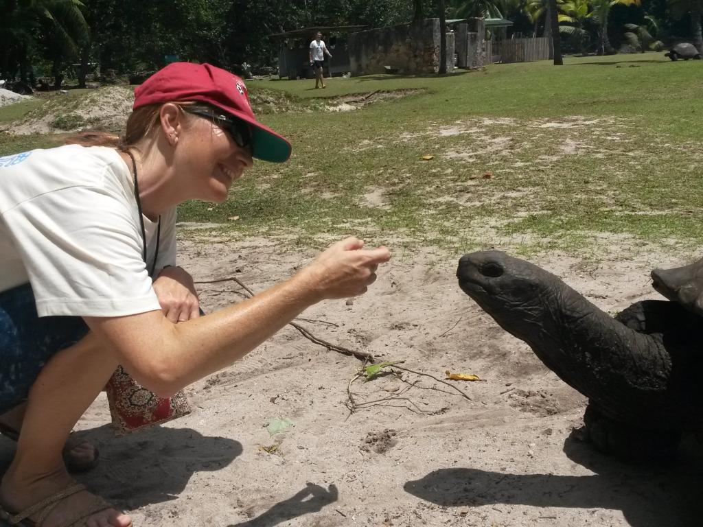 Barbara und die Riesenschildkröten